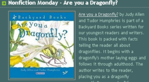 Dragonfly