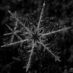Snowflake