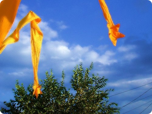 A Banner Day