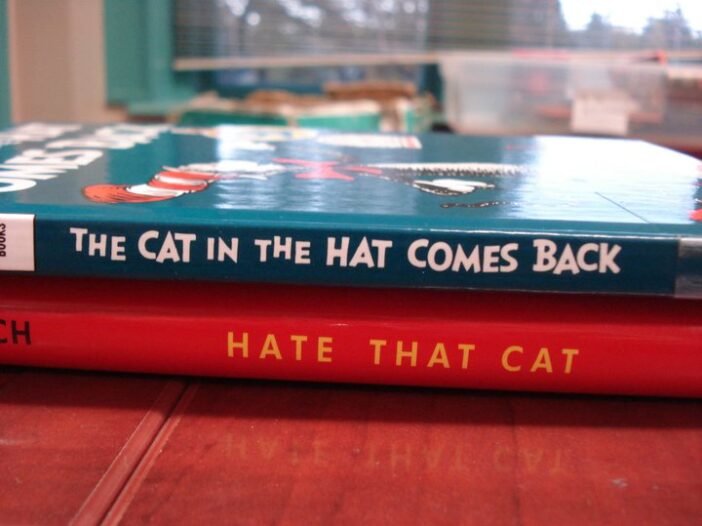 2011 Book Spine Poem Gallery
