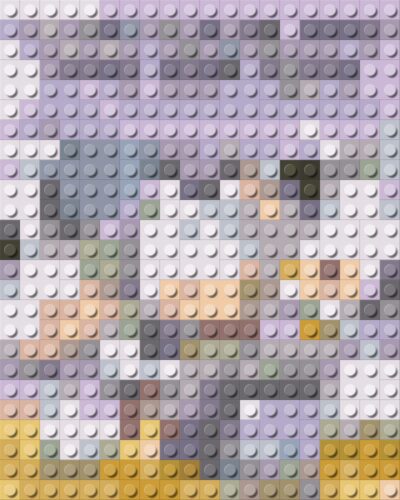 Name That LEGO Book Cover ! (#6)