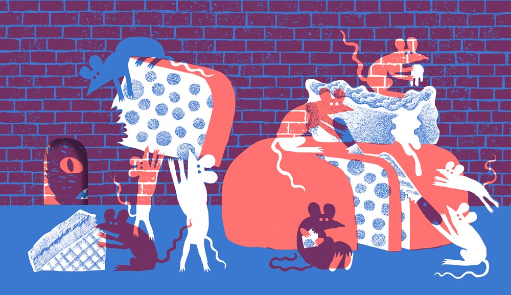 Predictions! NYT Best Illustrated Children’s Books 2019