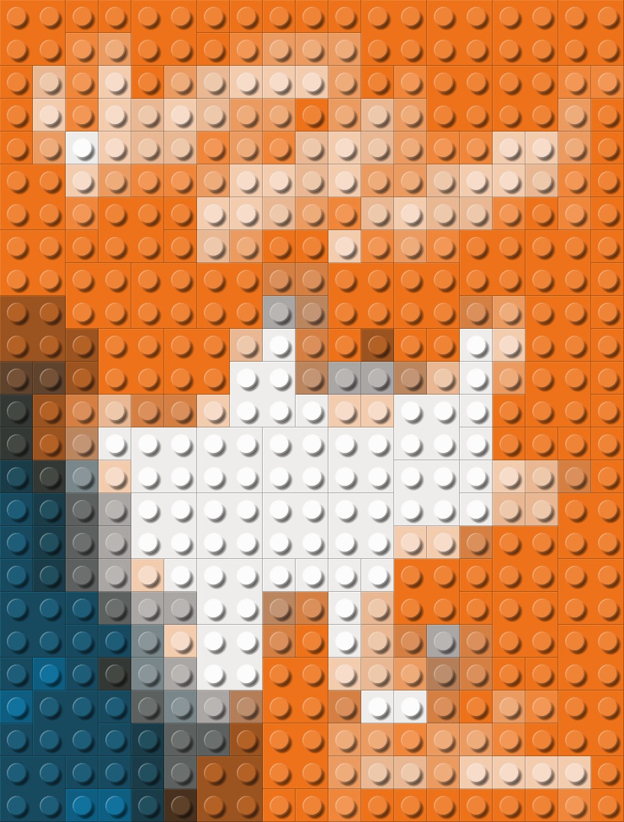 Name That LEGO Book Cover! (#41)