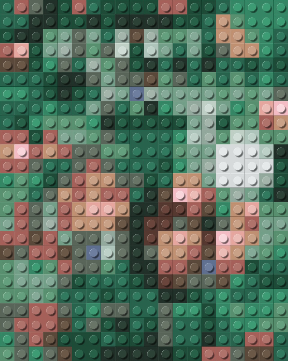 Name That LEGO Book Cover! (#45)